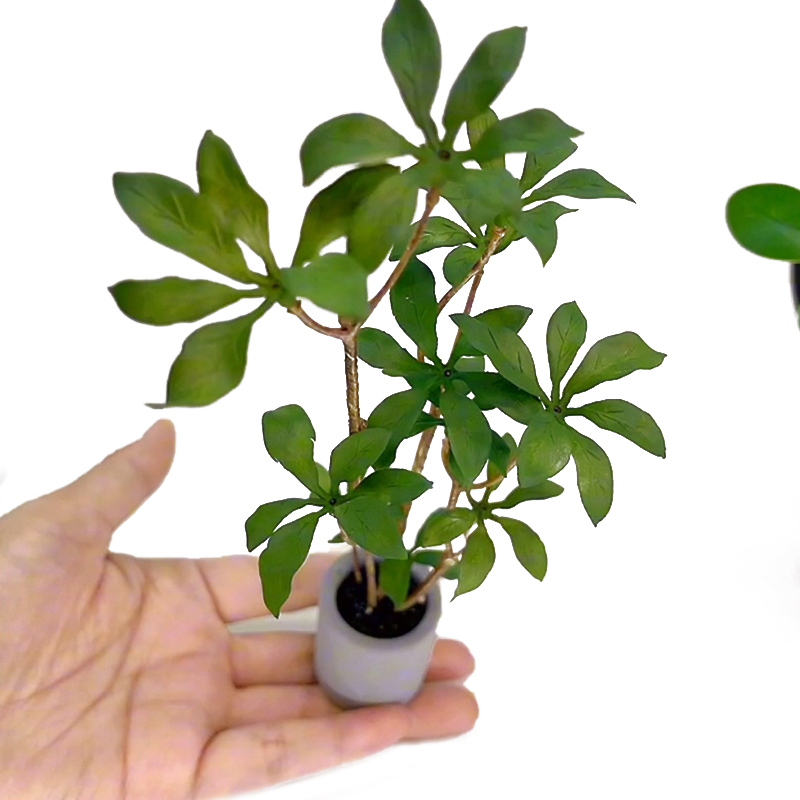 1:6 Dollhouse Miniature Potted - Bonsai Garden Miniature ulasan dan harga