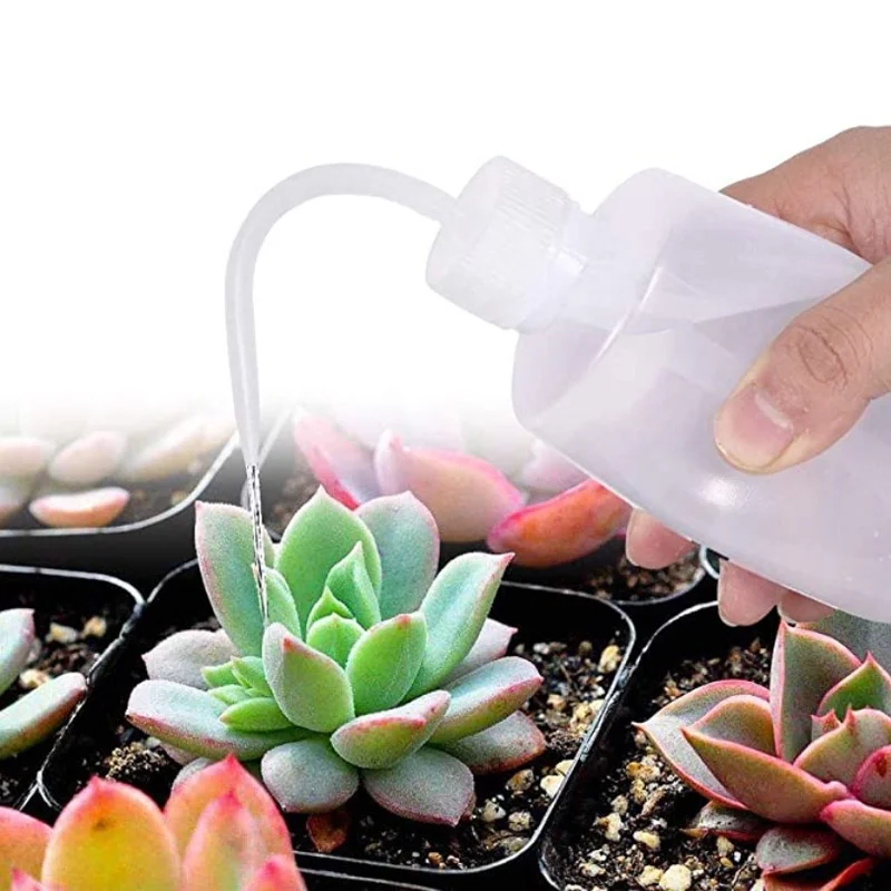 13Pcs Garden Planter Kit DIY S - Bonsai Garden Tools ulasan dan harga