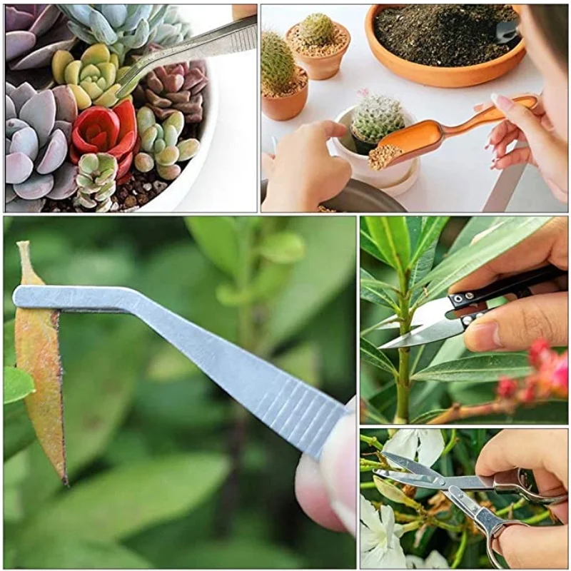13Pcs Garden Planter Kit DIY S - Bonsai Garden Tools ulasan dan harga