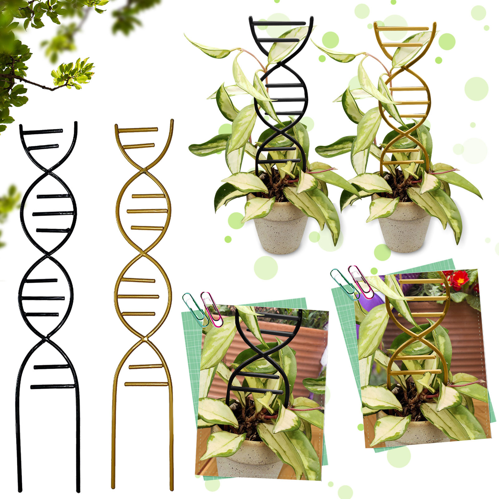 Plant Climbing Support Gardens - Bonsai Garden Tools ulasan dan harga