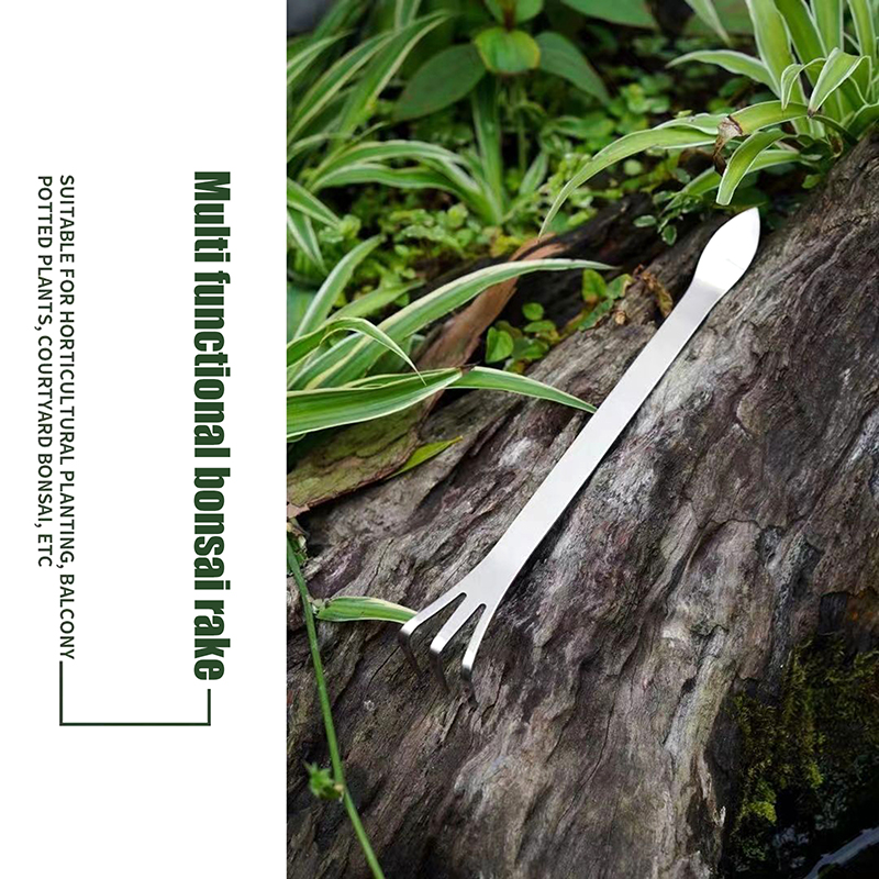 1Pc Stainless Steel Root Rake  - Bonsai Garden Tools ulasan dan harga