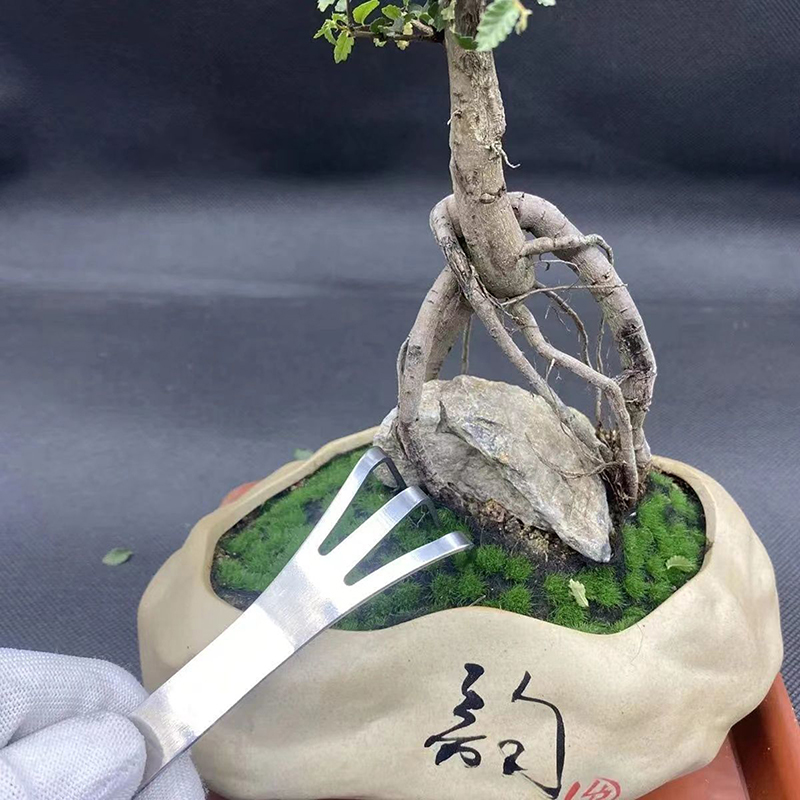 1Pc Stainless Steel Root Rake  - Bonsai Garden Tools ulasan dan harga