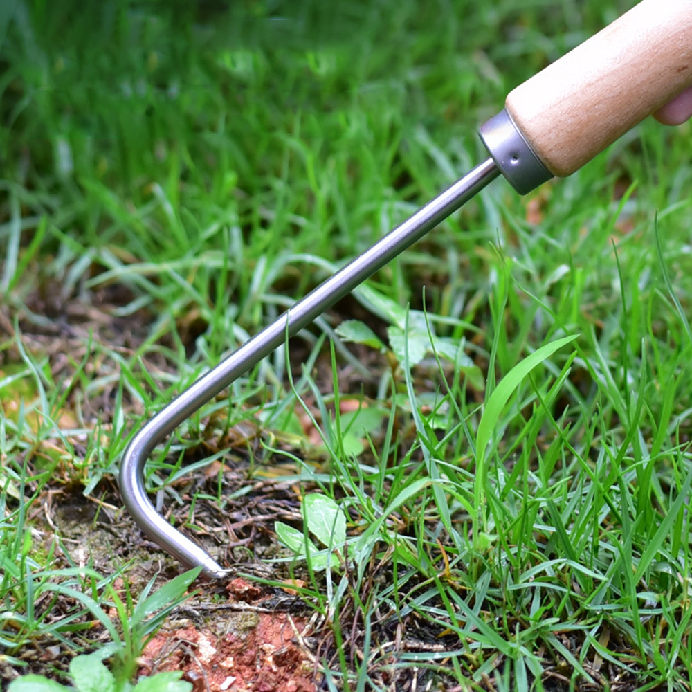 1PC Single Claw Hook Soil Loos - Bonsai Garden Tools ulasan dan harga