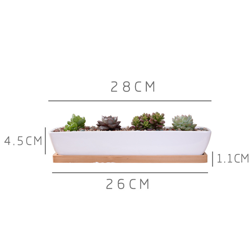 Long Rectangle White Ceramic S - Bonsai Tree Zen Garden ulasan dan harga