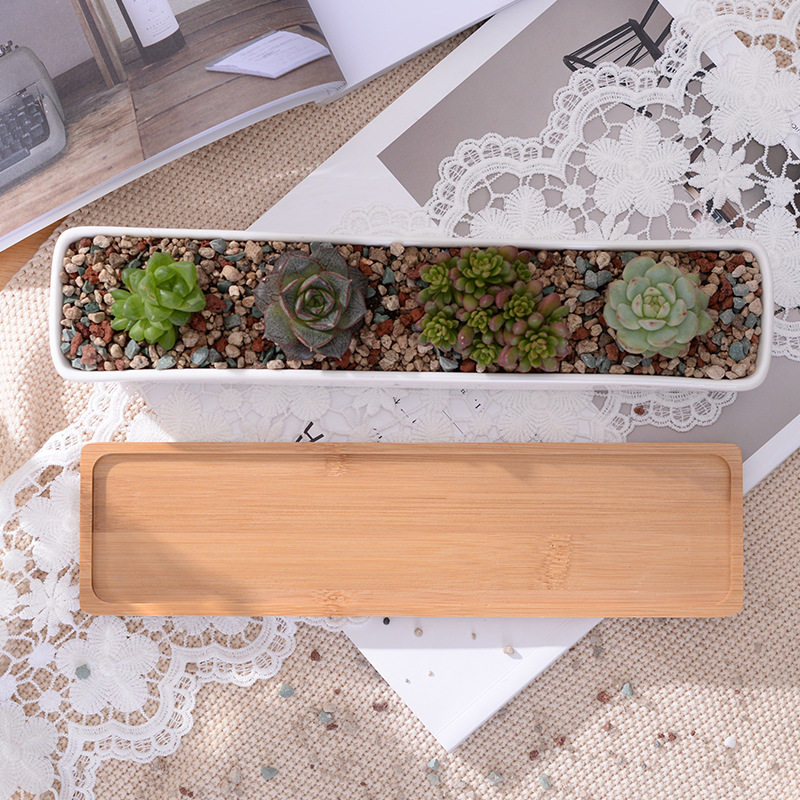Long Rectangle White Ceramic S - Bonsai Tree Zen Garden ulasan dan harga