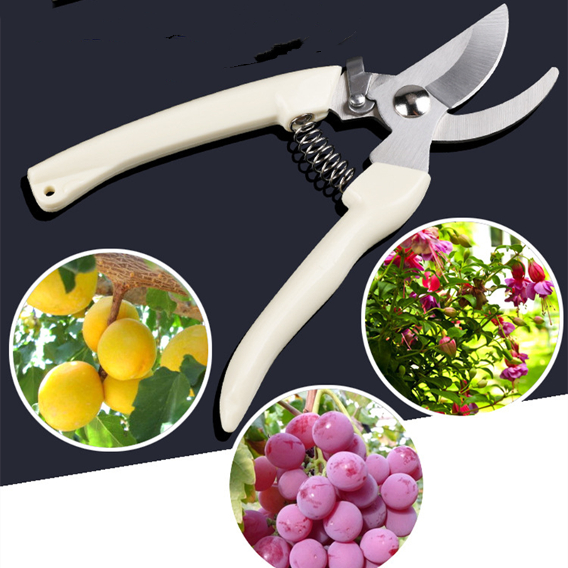 Pruner Orchard and The Garden  - Bonsai Garden Tools ulasan dan harga