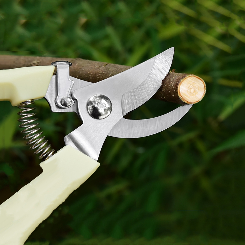 Pruner Orchard and The Garden  - Bonsai Garden Tools ulasan dan harga