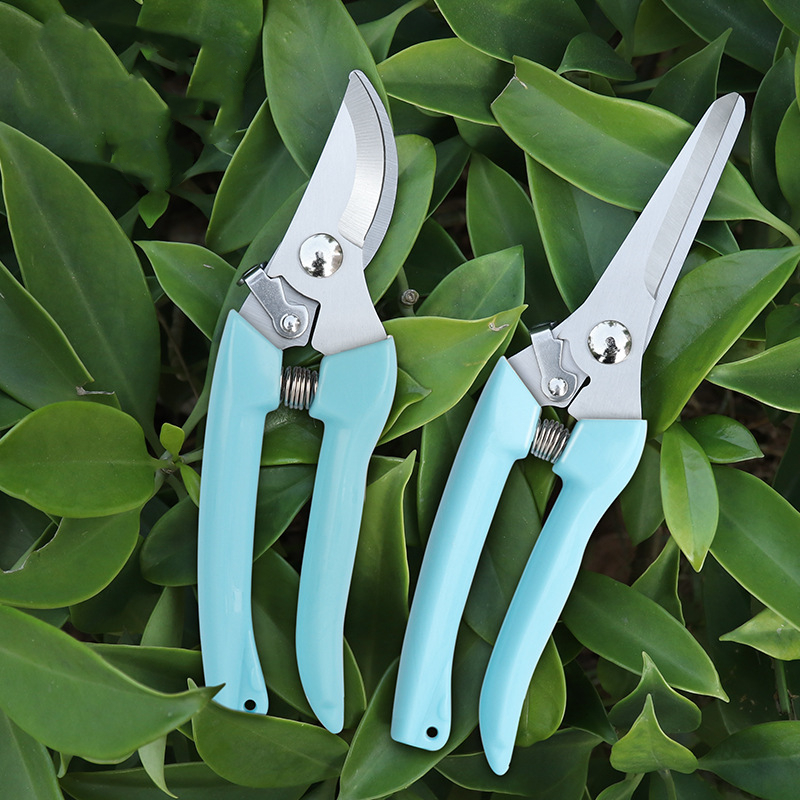 Pruner Orchard and The Garden  - Bonsai Garden Tools ulasan dan harga
