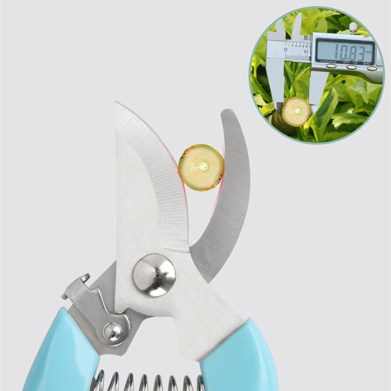 Pruner Orchard and The Garden  - Bonsai Garden Tools ulasan dan harga
