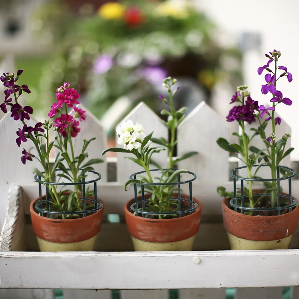 Garden Plant Support Cage Plie - Bonsai Garden Tools ulasan dan harga