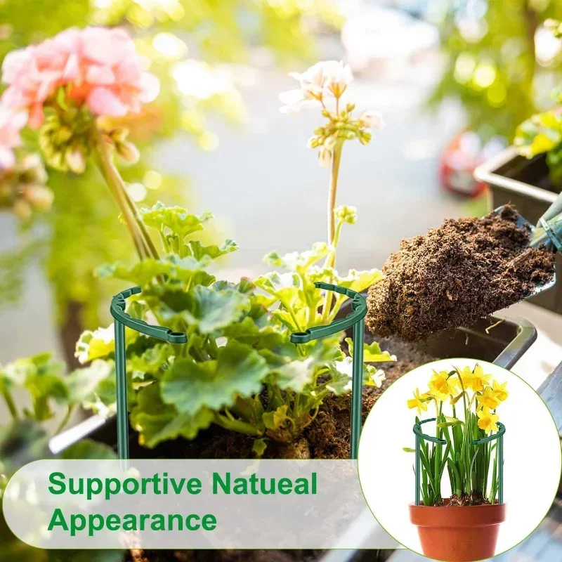 Garden Plant Support Cage Plie - Bonsai Garden Tools ulasan dan harga