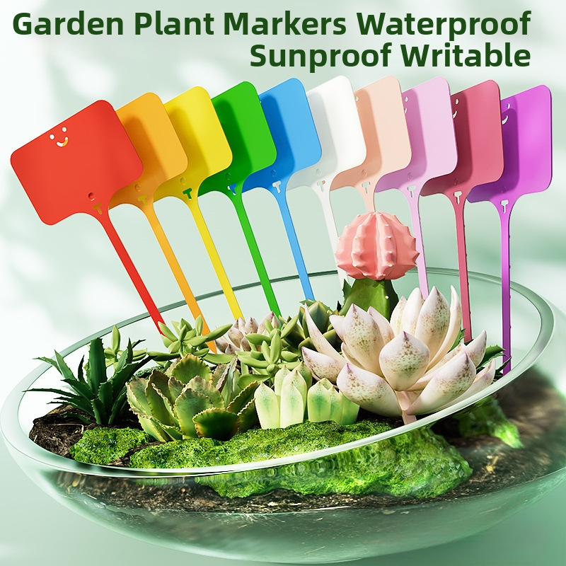 500PCS Garden Plant Labels Mar - Bonsai Garden Ticket ulasan dan harga