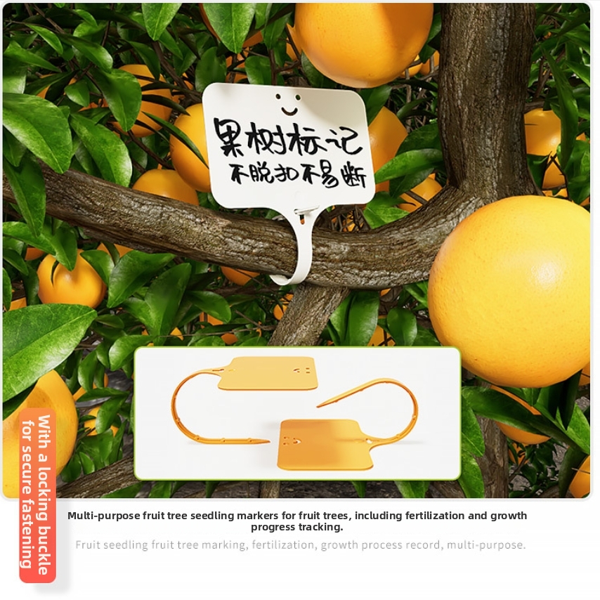 500PCS Garden Plant Labels Mar - Bonsai Garden Ticket ulasan dan harga