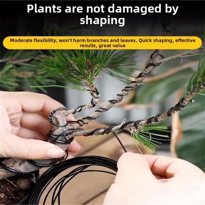1.5MM Bonsai Wires Aluminum Bo - Bonsai Garden Tools ulasan dan harga