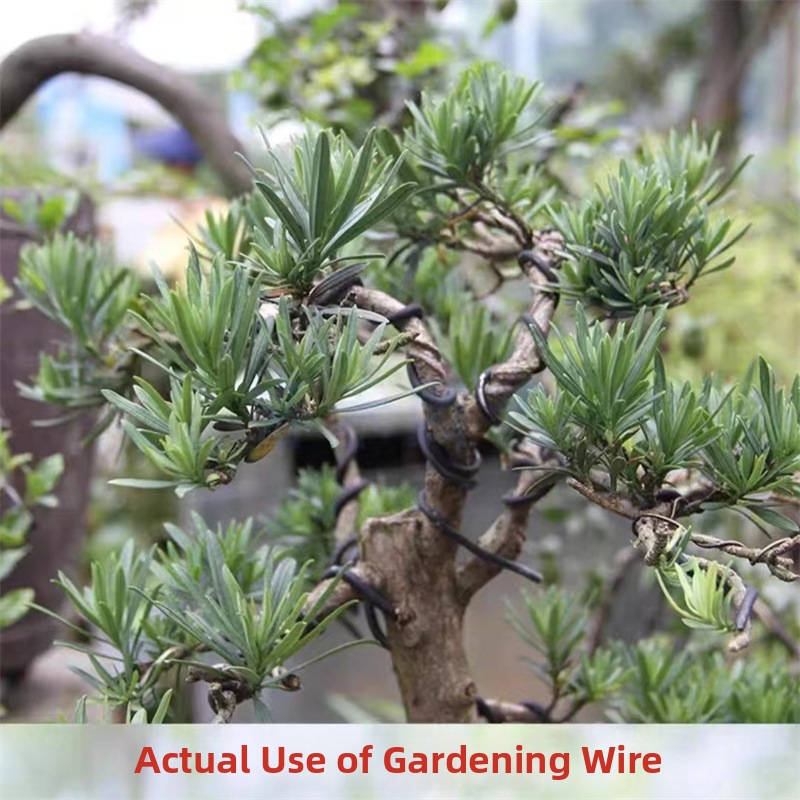 1.5MM Bonsai Wires Aluminum Bo - Bonsai Garden Tools ulasan dan harga