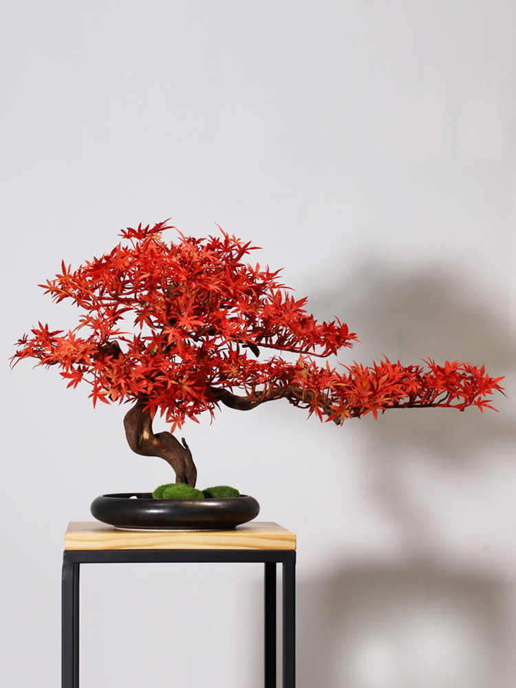 Simulation Welcome Pine Landsc - Bonsai Tree Zen Garden ulasan dan harga