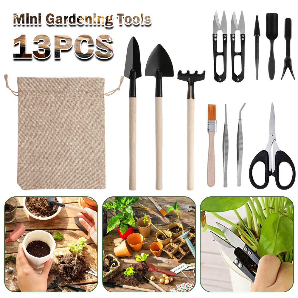 Succulent Plants Tools Mini Ga - Bonsai Garden Miniature ulasan dan harga