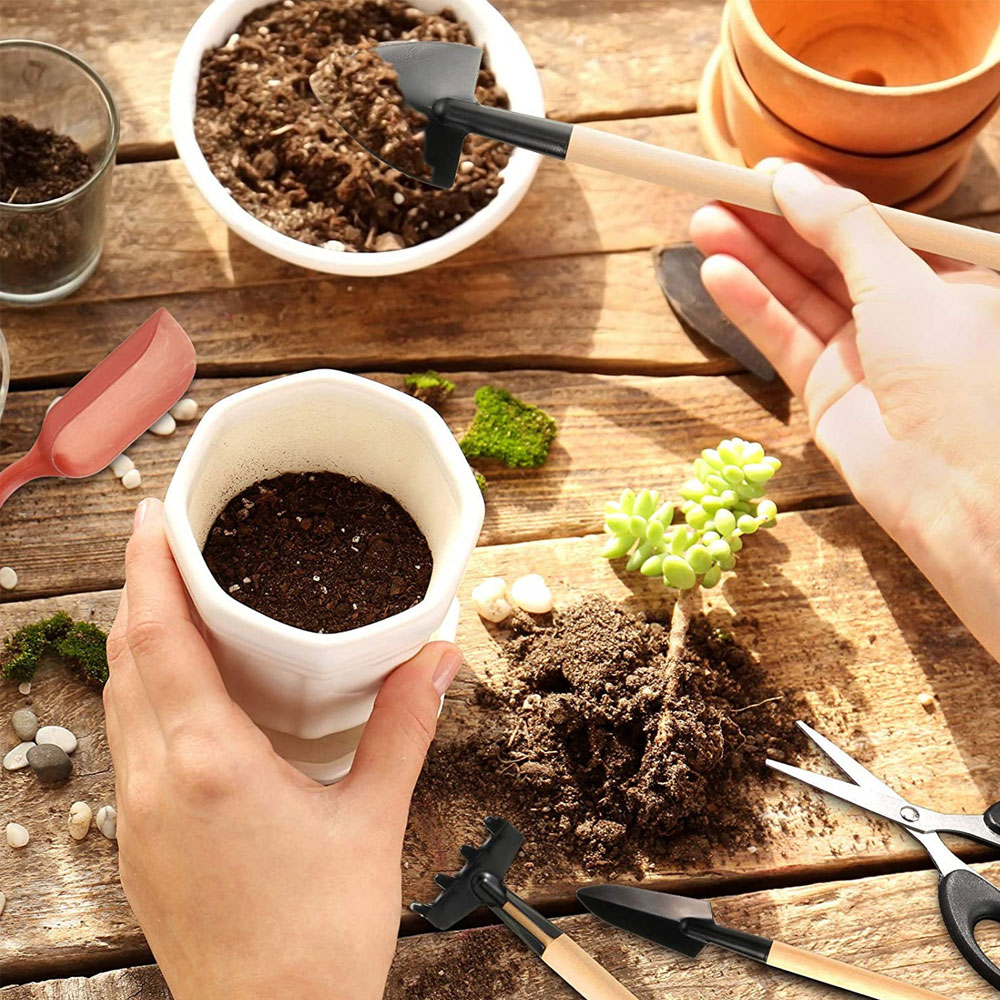Succulent Plants Tools Mini Ga - Bonsai Garden Miniature ulasan dan harga