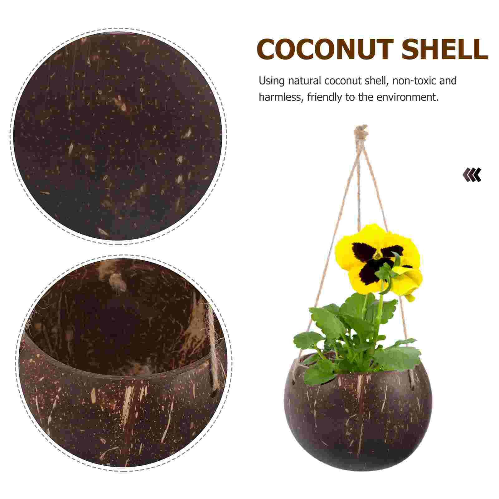 Large Hanging Planter Coconut  - Bonsai Tree Zen Garden ulasan dan harga