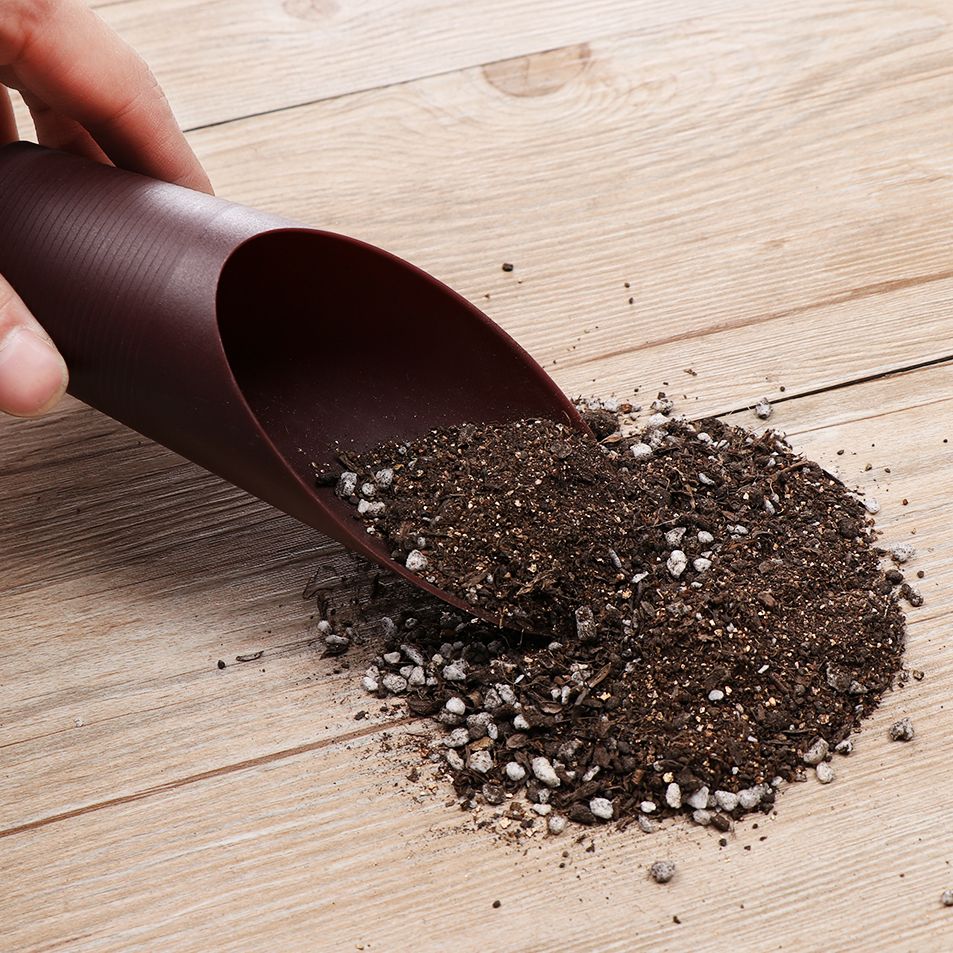 1PC Plastic Soil Shovel Cup Fo - Bonsai Garden Tools ulasan dan harga