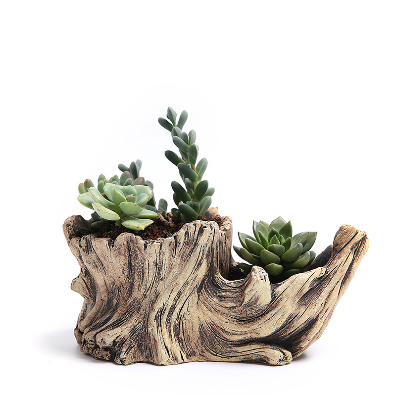 Succulent Flower Pot Wood Tree - Bonsai Tree Zen Garden ulasan dan harga