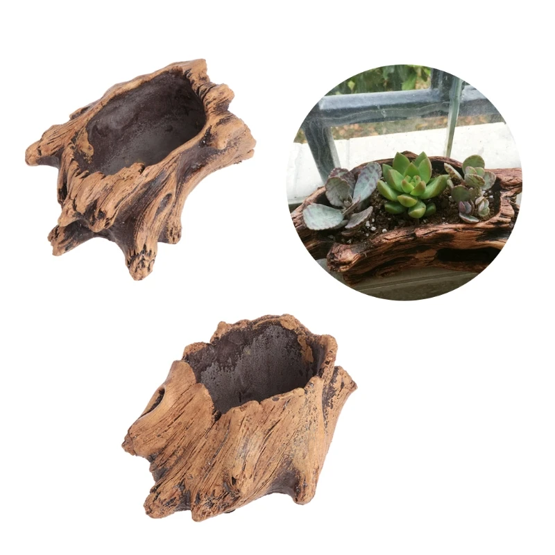 Succulent Flower Pot Wood Tree - Bonsai Tree Zen Garden ulasan dan harga